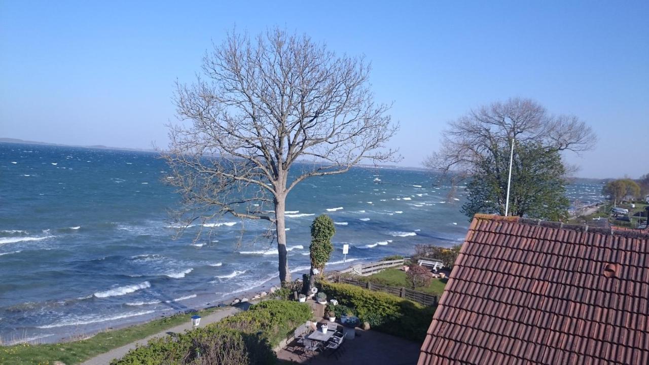 Strandappartements Steinberghaff Kegnæs mit Meerblick und Sauna Steinberg  Exterior foto