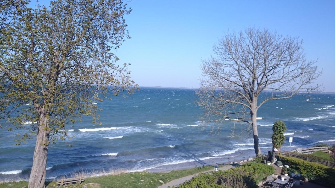Strandappartements Steinberghaff Kegnæs mit Meerblick und Sauna Steinberg  Exterior foto